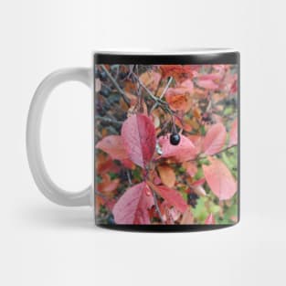 Nature (Photo) Mug